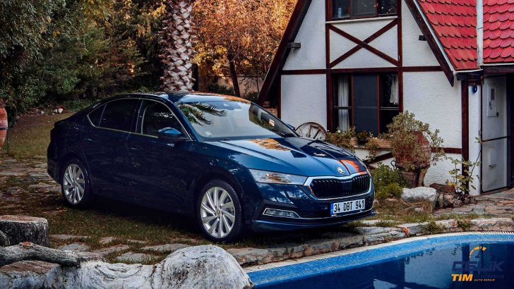 Didim Skoda Servisi 